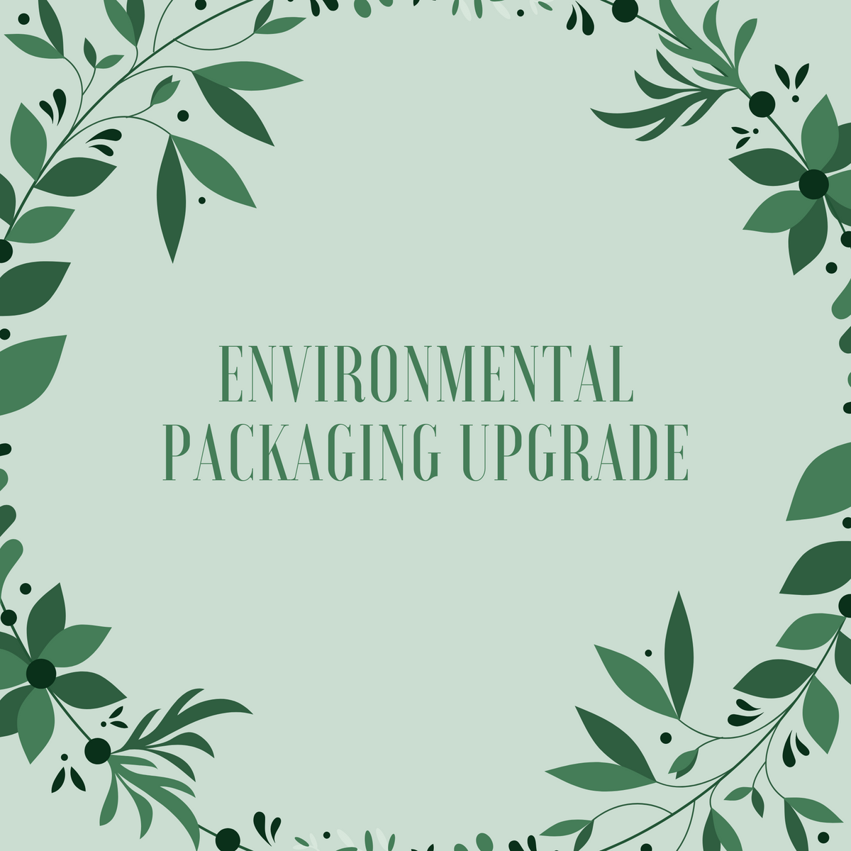 Environmental Packaging Upgrade | Create Good Company | Create Good Company